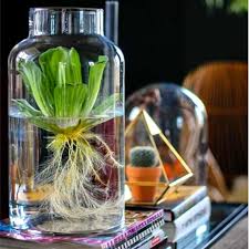 How To Create An Indoor Container Water
