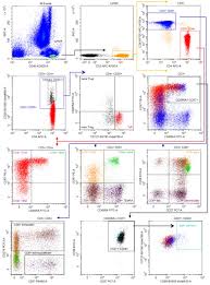 Advanced Analysis Of Human T Cell Subsets On The Cytoflex