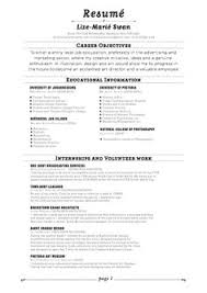 Key Skills Resume   Free Resume Example And Writing Download 