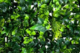 Artificial Green Wall Hedge With Mixed