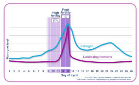 Advanced Digital Ovulation Test Typically Identifies 4 Or