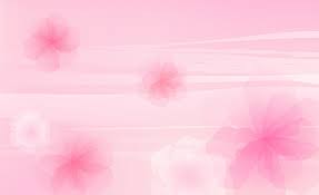hd wallpaper pink flowers background
