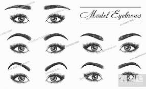 female eyebrows eyes and lashes