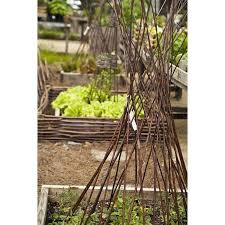 Browse all of the garden trellis we have available from selected uk garden shops. Breakwater Bay Gracey Funnel Wood Expanding Trellis Reviews Wayfair In 2021 Garden Structures Expanding Trellis Backyard Flowers