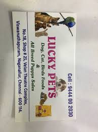 To avoid stomach upset, we prefer to feed the diet your pet is accustom to at home. Lucky Pets Nanganallur Pet Shops In Chennai Justdial