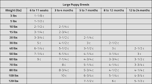 Iams Large Breed Puppy Feeding Chart Best Picture Of Chart