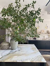 decorate branches how to style and let