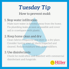 tips how to prevent mold and mildew