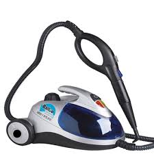 steam cleaner cleaning services