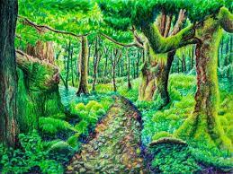 Emerald Forest Colored Pencil Drawing