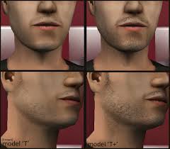 natural scruff for real sims binned