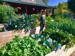 Kids S Learn To Grow Vegetables