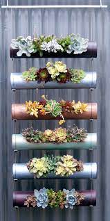 succulents salvaged materials micro