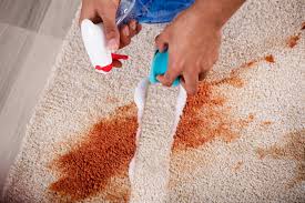 organic carpet cleaning nyc carpet