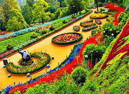 top 20 ooty tour packages list of ooty