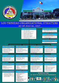 Lgu Trinidad Organizational Structure Municipality Of