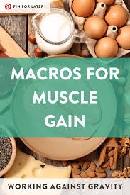 macros for muscle gain working