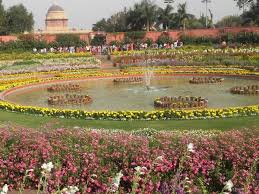 mughal gardens to open for the public