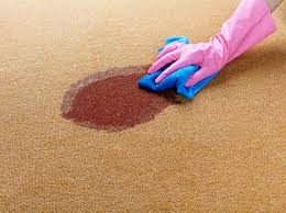 carpet stain with club soda