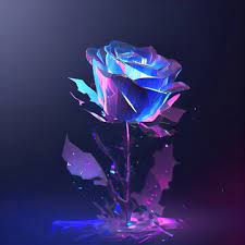 blue rose images browse 13 866 stock