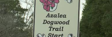 azalea dogwood festival celebrates 59