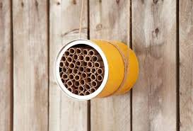 Each hole should be the same size. 8 Best Mason Bee Houses That Beekeepers Swear By In 2021