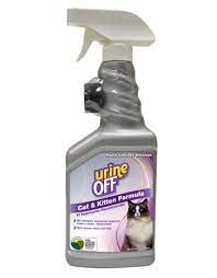 urine off cat kitten hard surface