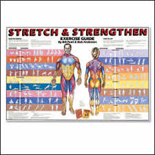 Stretch And Strengthen Chart Model 5009 L Each
