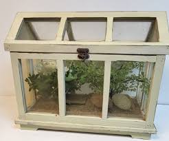 Vintage Terrarium Glass Display Case