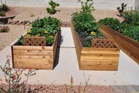 raised planter gardens las vegas style