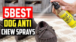 top 5 best dog anti chew sprays in