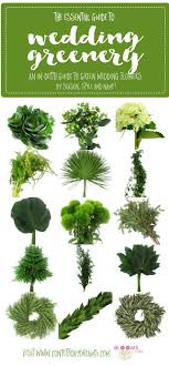 Filler varieties are the backbones of beautiful bouquets. The Essential Guide To Greenery For Weddings Green Flower Names