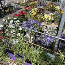 Top 10 Best Plant Nursery Near Fridley