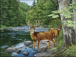 deer wallpaper murals