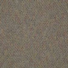 shaw carpet bejeweled 315428 colorful