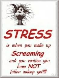 Image result for stress images funny