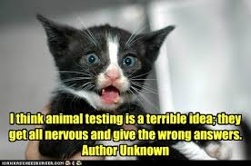 Animal Testing Quotes. QuotesGram via Relatably.com