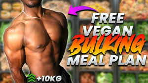 free vegan bulking meal plan template