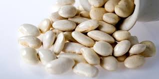 white beans diffe types origin