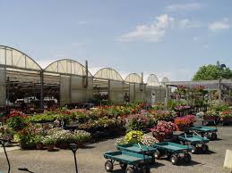 helen s greenhouses and flower farm