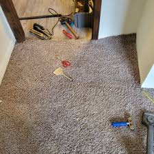 traditional carpet cleaning 12 photos