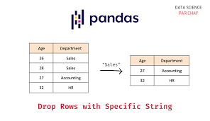 pandas drop rows that contain a