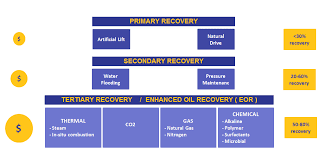 Enhanced Oil Recovery Eor Summary Daleel