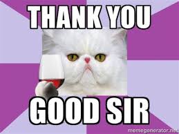 Thank you is not only a standard polite phrase used in everyday service or information interchange; Thank You Cat Memes