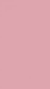 solid pastel rose pink