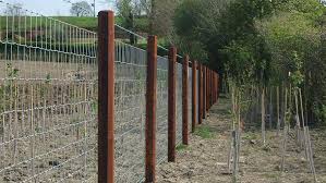 Extend the life of your fence by using galvanized posts, avoiding the common problem of rotting fence posts. How To Make Fence Posts On Farms Last Longer Farmers Weekly