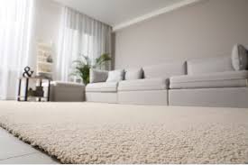 rug cleaning adelaide the rationale of