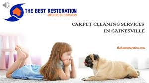carpet cleaning services in gainesville