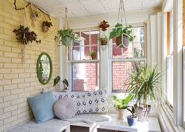 tips for decorating with houseplants