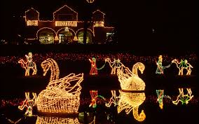 The Best Christmas Lights In Every State Best Christmas